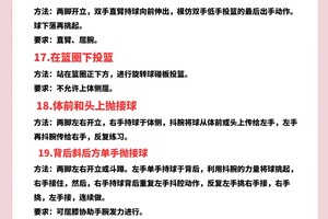  初学者如何理解并应用篮球训练中的反馈：从理论到实践的全面指南